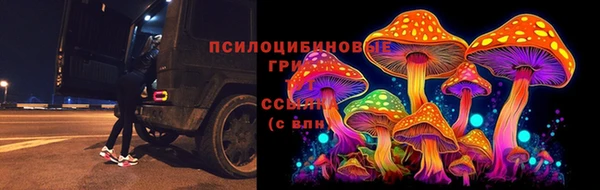 мдма Весьегонск