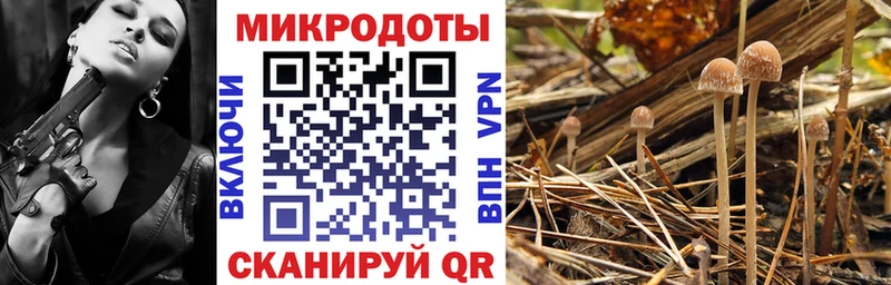 Псилоцибиновые грибы MAGIC MUSHROOMS  наркотики  маркетплейс как зайти  Химки 