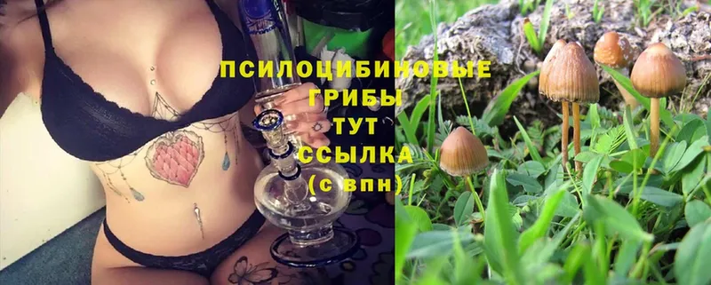 Галлюциногенные грибы GOLDEN TEACHER  Химки 