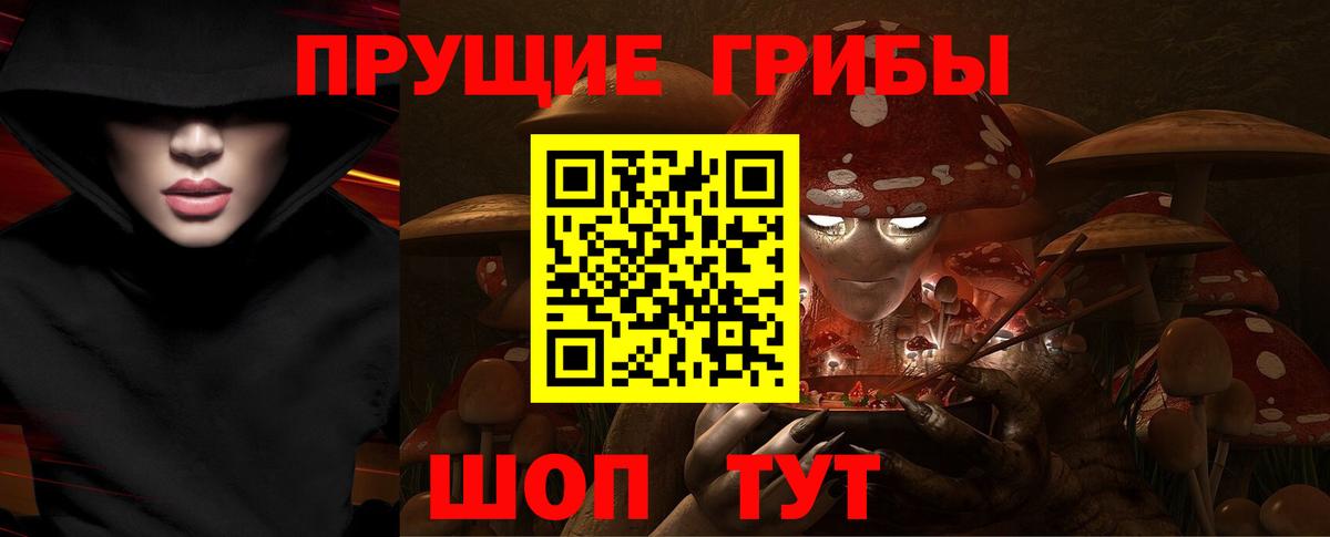 Галлюциногенные грибы Psilocybine cubensis Химки